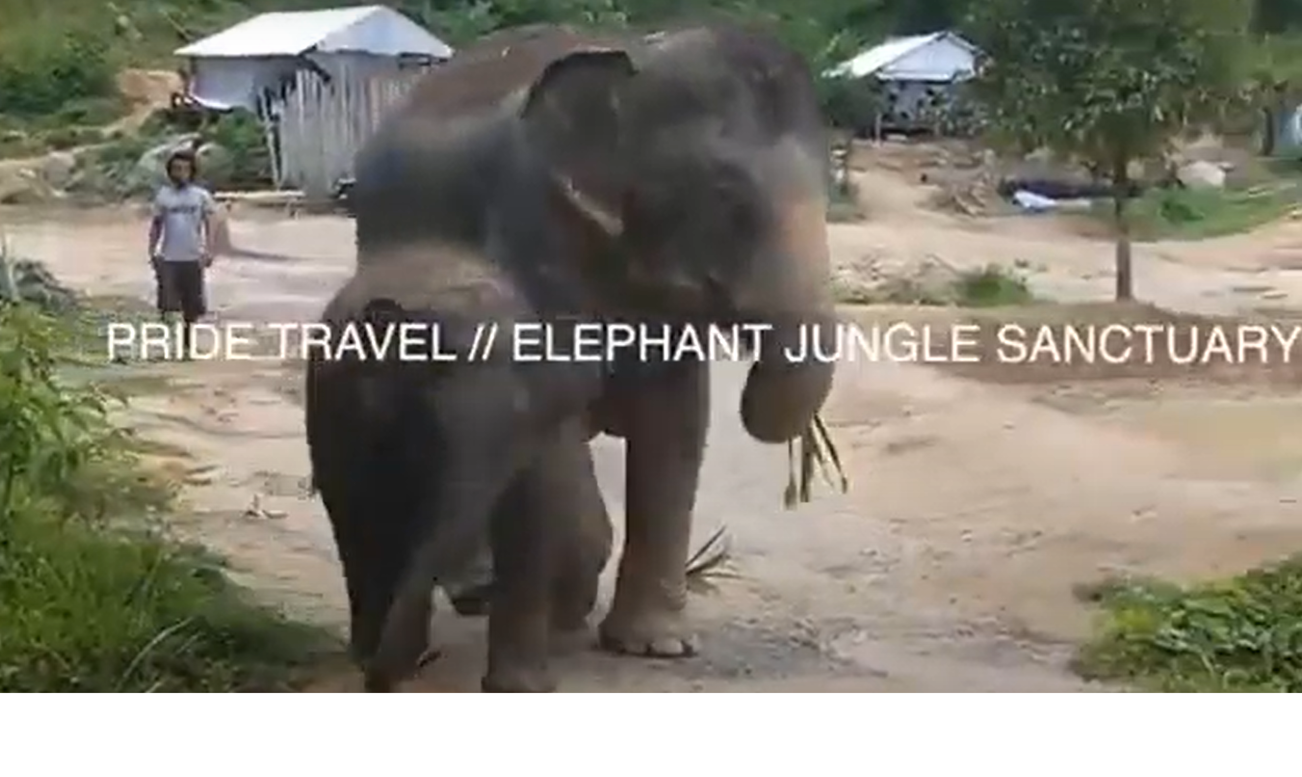 Phuket Elephant Jungle Sanctuary 2017   Pride Travel